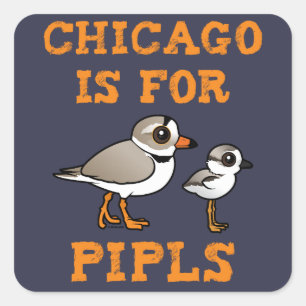 Sticker Carré Chicago est pour les IPL