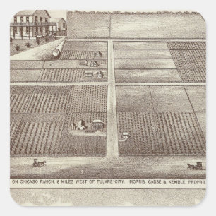 Sticker Carré Chicago, ranchs de Kay