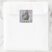 Sticker Carré Chicken on deck, Silver Laced Wyandotte (Sac)