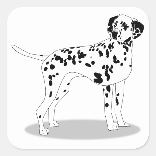 Sticker Carré Chien (Devant)
