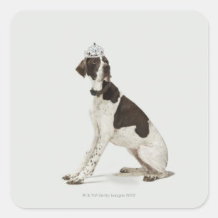 Sticker Carré Chien assis avec une tiare sur la tête