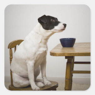 Sticker Carré Chien assis sur une chaise devant un bol sur