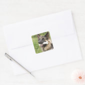 Sticker Carré Chien avec os (Enveloppe)