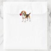 Sticker Carré Chien Beagle Mignon (Sac)