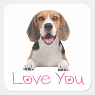 Sticker Carré Chien Beagle Mignon Amoureux Cœurs Roses Je T'Aime