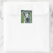 Sticker Carré Chien berger allemand blanc (Sac)
