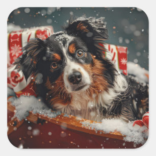 Sticker Carré Chien Berger Australien Noël Festif