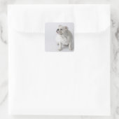 Sticker Carré Chien blanc (Sac)