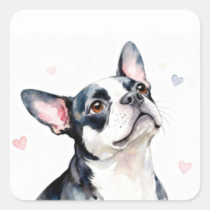 Sticker Carré Chien Boston Terrier avec des cœurs