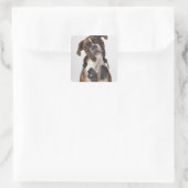 Sticker Carré chien boxer avec casque (Sac)