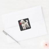Sticker Carré Chien Caniche Mignon (Enveloppe)