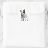 Sticker Carré Chien Chien Chien Chien Chien Chien Blanc Noir Oei (Sac)