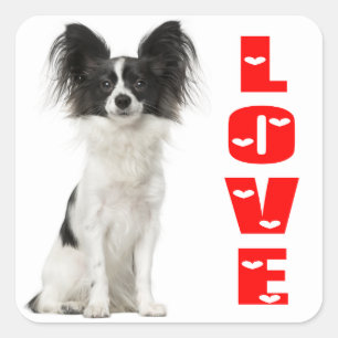 Sticker Carré Chien Chien Noir Et Blanc Papillon - Chien D'Amour