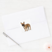 Sticker Carré Chien chiot français mignon (Enveloppe)