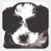Sticker Carré Chien chiot maltais noir et blanc (Devant)