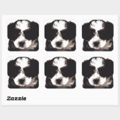 Sticker Carré Chien chiot maltais noir et blanc (Feuille)