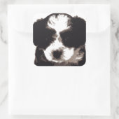 Sticker Carré Chien chiot maltais noir et blanc (Sac)