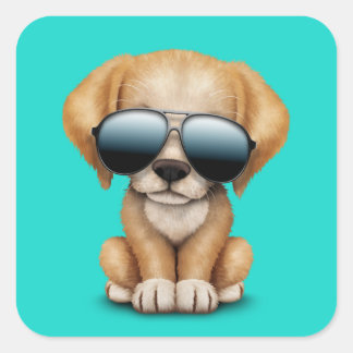 Sticker Carré Chien cochonné mignon portant des lunettes de sole