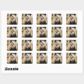 Sticker Carré Chien dans un sac (Feuille)