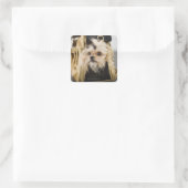 Sticker Carré Chien dans un sac (Sac)