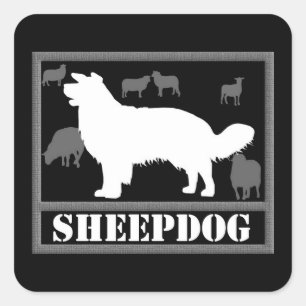 Sticker Carré Chien de berger