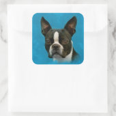 Sticker Carré Chien de Boston Terrier (Sac)