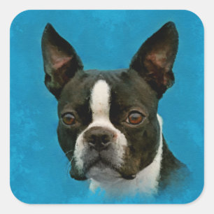 Sticker Carré Chien de Boston Terrier