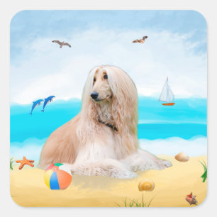 Sticker Carré Chien de chien afghan sur la plage