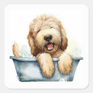 Sticker Carré Chien de Labradoodle