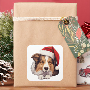 Sticker Carré Chien de Noël Festif Shetland Sheepdog