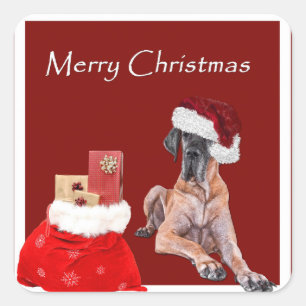 Sticker Carré Chien de Noël Great Dane