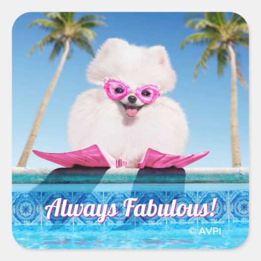 Sticker Carré Chien De Piscine En Palmes (Devant)