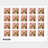 Sticker Carré Chien de Shih-tzu (Feuille)