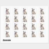 Sticker Carré Chien de taureau anglais (2 mois) (Feuille)