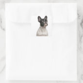Sticker Carré Chien de taureau français (5 mois) (Sac)