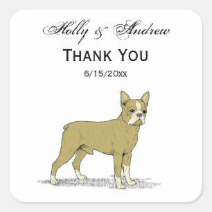 Sticker Carré Chien de taureau français stylisé vintage C