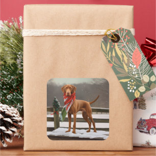 Sticker Carré Chien de Vizsla à Noël de neige