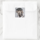 Sticker Carré Chien en pull et casquette (Sac)
