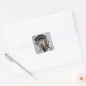 Sticker Carré Chien en pull et casquette (Enveloppe)