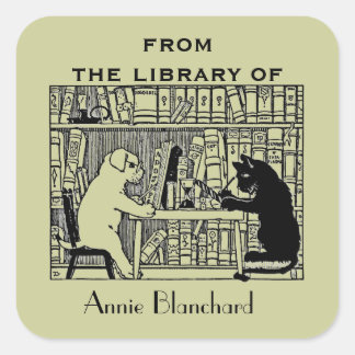 Sticker Carré Chien et chat dans la bibliothèque