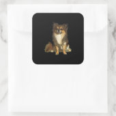 Sticker Carré Chien graphique long Haired Chihuahua mignon (Sac)