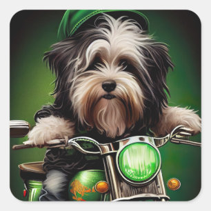 Sticker Carré Chien Havanais Conduisant un Vélo St. Patrick's Da