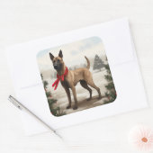 Sticker Carré Chien malinois belge à Noël de neige (Enveloppe)