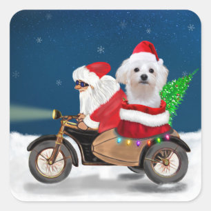 Sticker Carré Chien maltais Noël Père Noël 