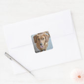 Sticker Carré Chien mignon (Enveloppe)