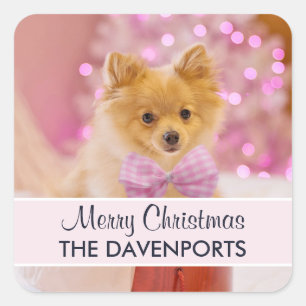 Sticker Carré Chien mignon avec cabot rose Joyeux Noël Photo