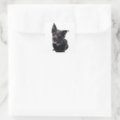 Sticker Carré Chien noir (Sac)