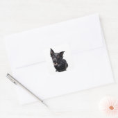 Sticker Carré Chien noir (Enveloppe)
