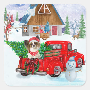 Sticker Carré Chien Papillon Dans Camion De Livraison De Noël Ne