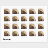 Sticker Carré Chien pekingese, gros plan (Feuille)